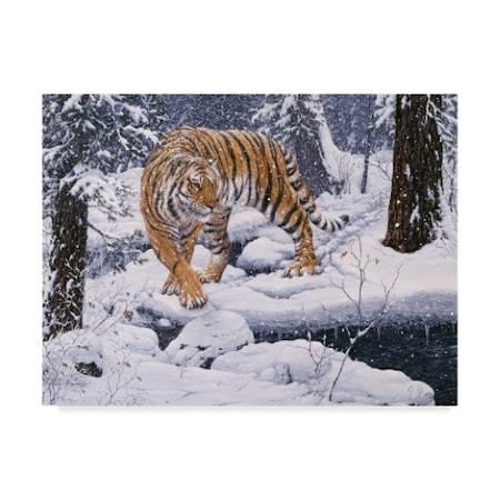 Jeff Tift 'Silent Hunter Siberian Tiger' Canvas Art,24x32